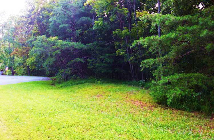 Lot 40 Red Fin Moneta, VA 24121