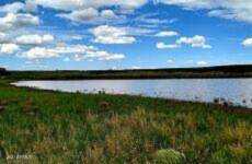 35321 E Us 60 Highway #- Show Low, AZ 85901