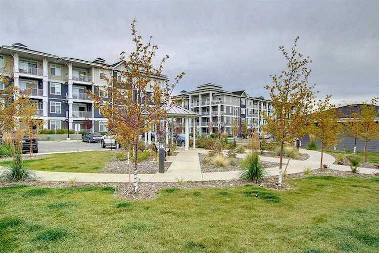 400 Auburn Meadows Common SE #321 Calgary, AB T3M 3K7