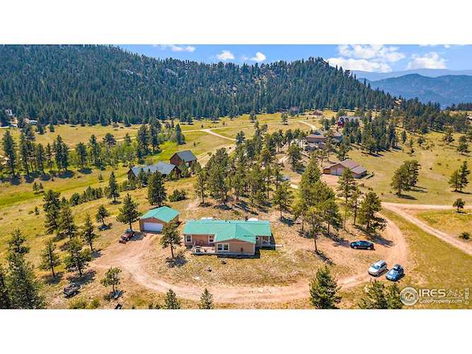 140 Deadhorse Mountain Ct Livermore, CO 80536