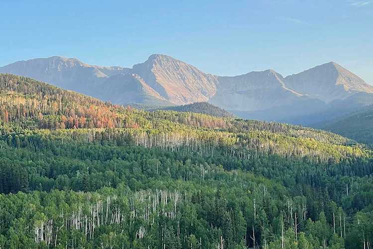 TBD Posey Rd #A Placerville, COLORADO 81430