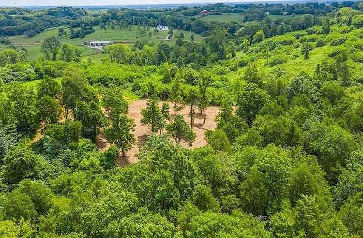 1398 Cliff Amos Rd Spring Hill, TN 37174 | MLS 2296226 Photo 1