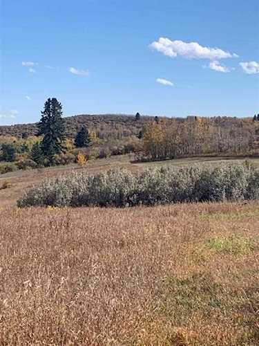 16 Red Willow Ct W Rural Foothills County, AB T2X 0X0