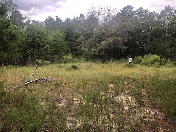 743 OSAGE Drive Defuniak Springs, FL 32433 | MLS 883031 Photo 1