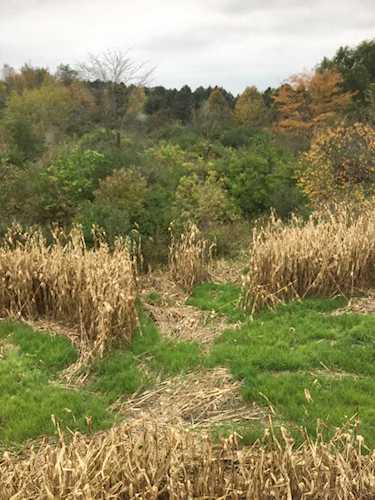 Lot - 10 Acres Bunker Hill Rd Harvard, IL 60033 | MLS 10609846 Photo 1