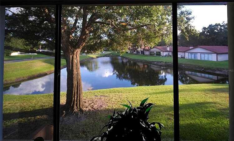 3505 Tarpon Woods Blvd #Q409 Palm Harbor, FL 34685