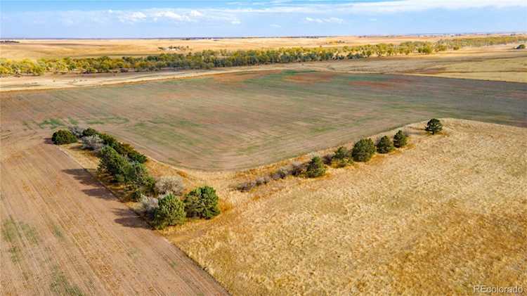 000 Highway 79 Bennett, CO 80102 | MLS® 2208512 Photo 1