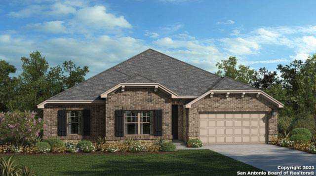 1185 Hammock Glen New Braunfels, TX 78132
