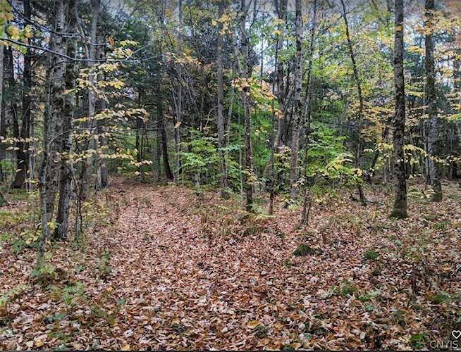 000 Ure Rd Croghan, NY 13327