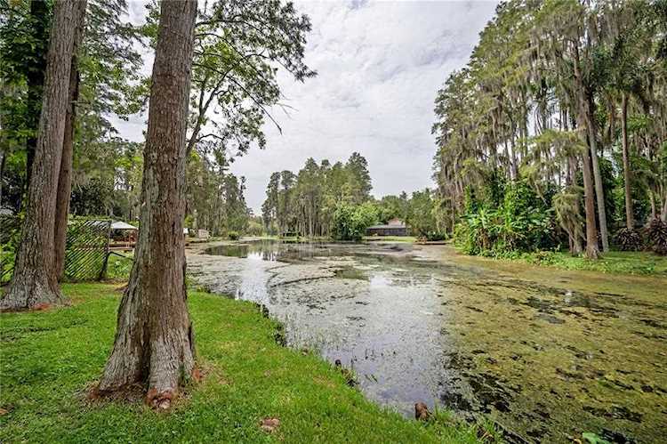 19010 Cedar Ln Lutz, FL 33548