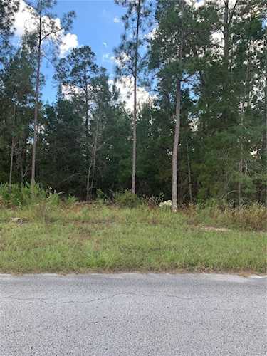84 Grass St Homosassa, FL 34446