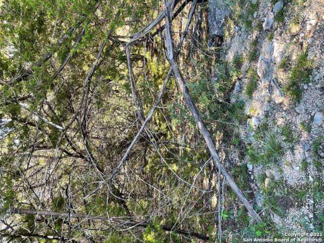 0 Tbd Canyon Lake, TX 78133
