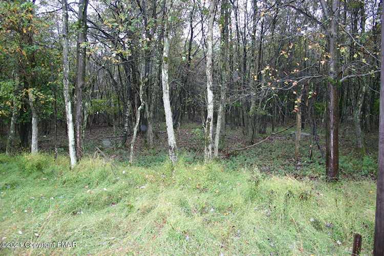 Chesapeake Trl Albrightsville, PA 18210