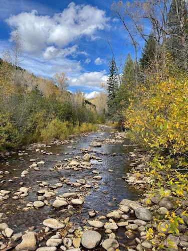 TBD Road 40 Dolores, COLORADO 81323