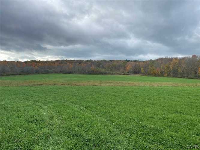 1933 Thayer Hill Rd Leyden, NY 13309
