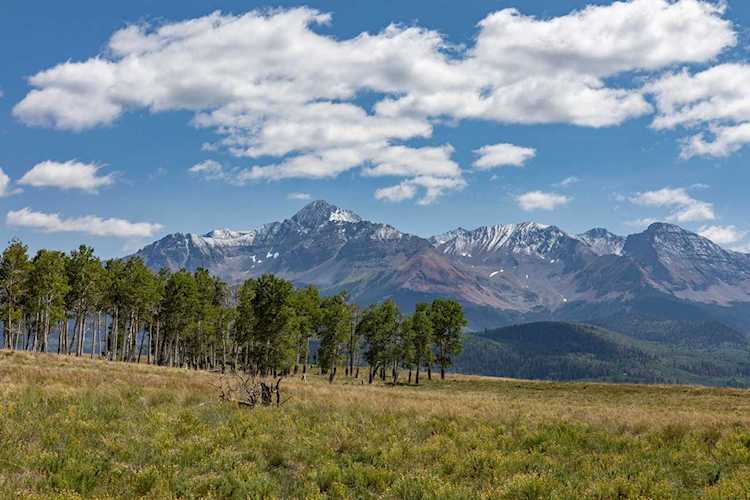 TBD E Anderson Rd #Lot 87 Placerville, COLORADO 81430
