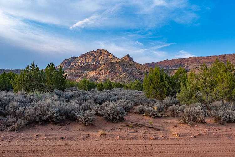 1600 S 2050 E #1 Apple Valley, UT 84737