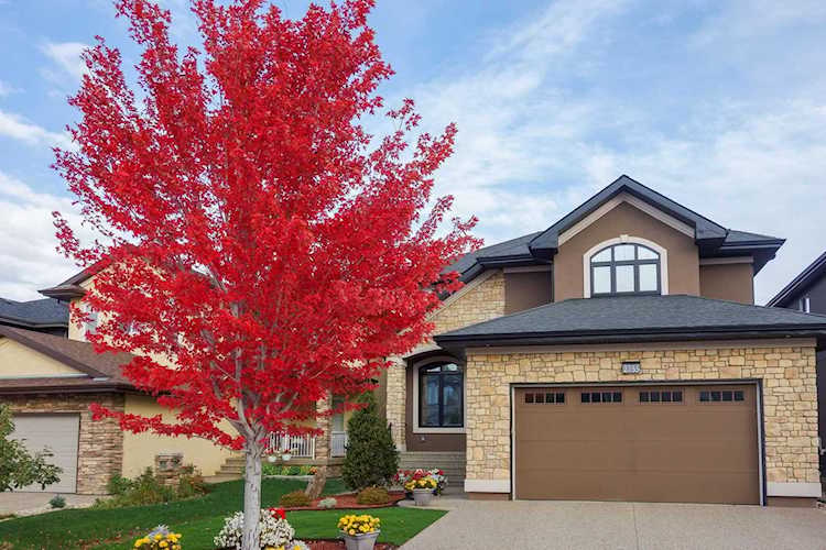 2755 Watcher Way Edmonton, AB T6W 0P1