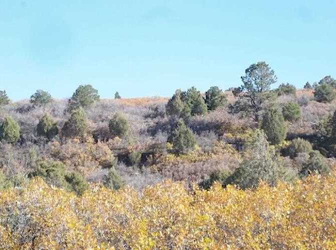 tbd North Gurley Reserve Dr #11 Norwood, COLORADO 81423