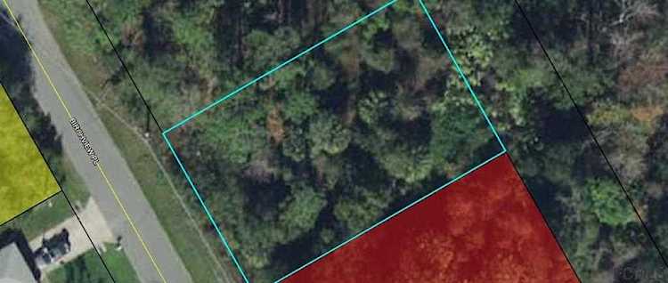 19 Birchview Pl Palm Coast, FL 32137