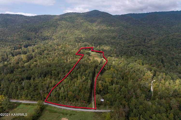 1241 E Millers Cove Rd Walland, TN 37886