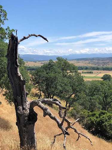 19828 Antelope Creek Dr Cottonwood, CA 96022