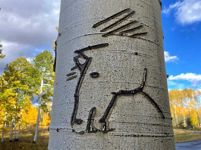 Lot 20 Elk Run Road Telluride, COLORADO 81435