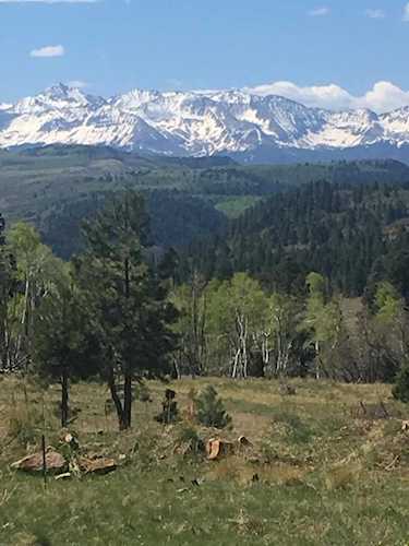 Tract A1 Brown Ranch Rd #Tract A1 Placerville, COLORADO 81430