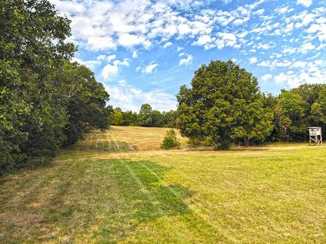 000 Smyrna Rd Rogersville, MO 65742