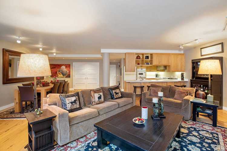 301 S Pine St #220 Telluride, COLORADO 81435