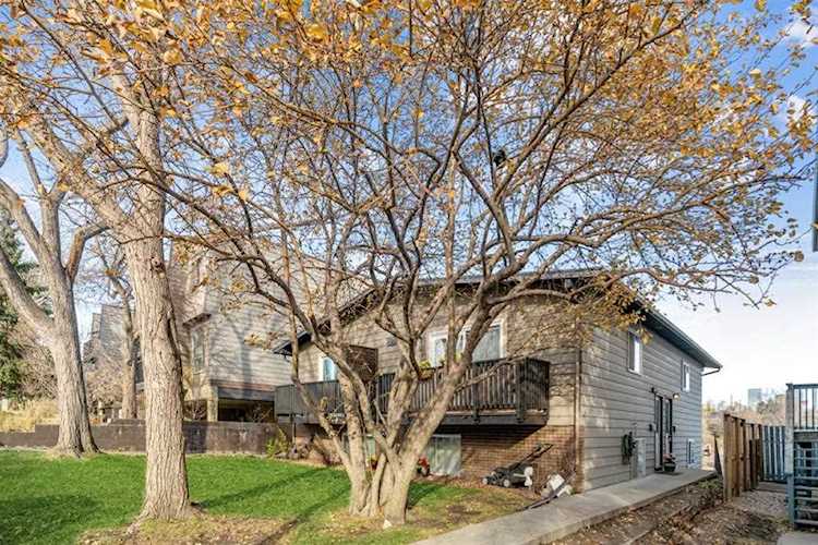 52 38A Ave SW #3 Calgary, AB T2S 2Z9