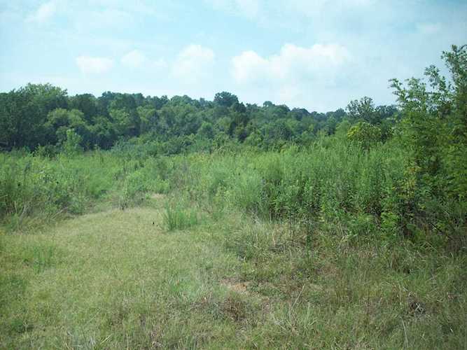 1580 Bell Rd Nashville, TN 37211 MLS 2303913