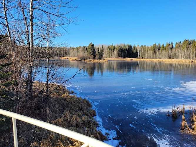 352104 Leisure Lake Dr W Rural Foothills County, AB T0L 1W0