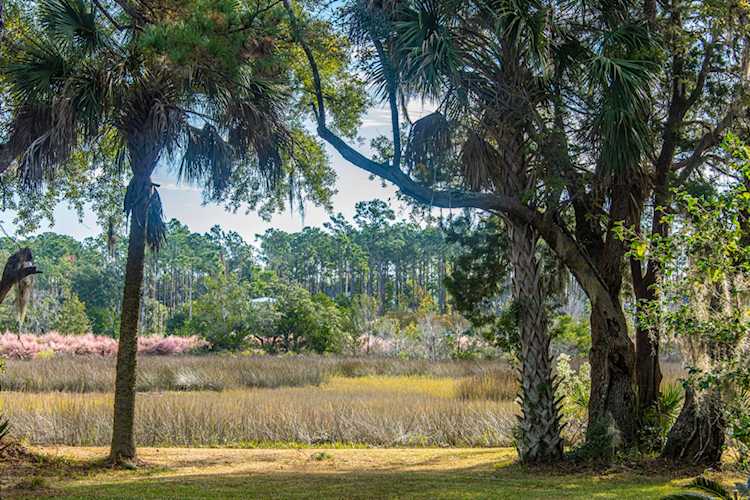1391 Stratton Place Mount Pleasant, SC 29466 | MLS 21030410 Photo 1