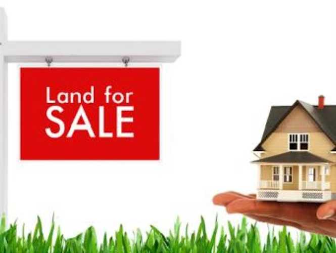 349062 Tamarack Dr E Rural Foothills County, AB T1S 2L1