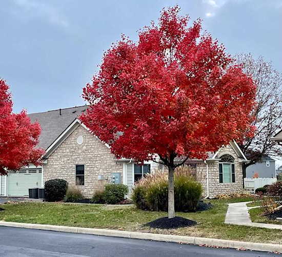 31 Glen Mawr Circle Delaware, OH 43015
