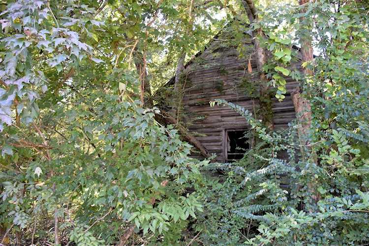 121 Brooks Springs Road Sandersville, GA 31082