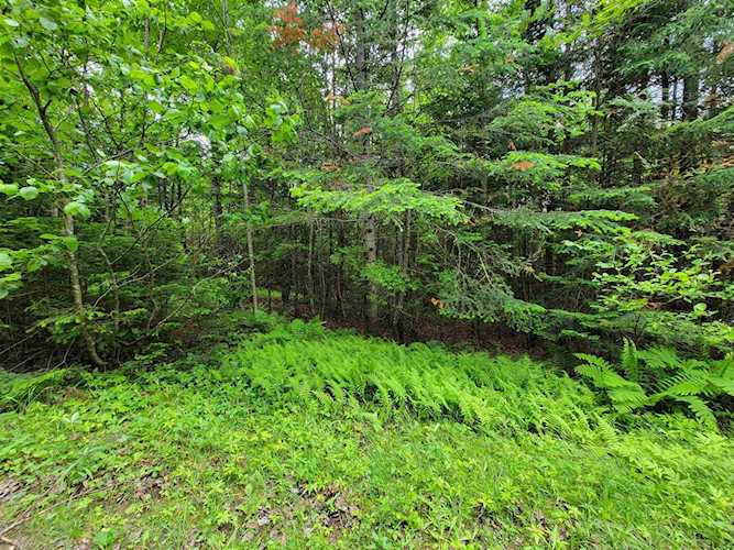 Cricket Ln Colebrook, NH 03576