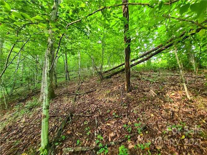9999 Bent Creek Rd Burnsville, NC 28714 | MLS 3643091 Photo 1