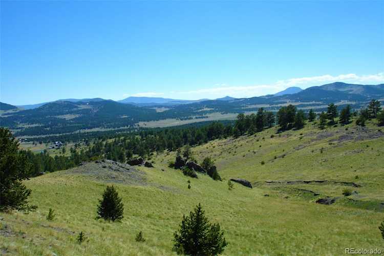 1745 Castle Mountain Pass Guffey, CO 80820