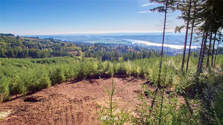 3109 Green Mountain Rd #B Kalama, WA 98625