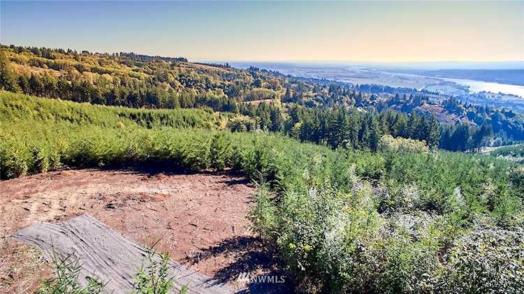3105 Green Mountain Rd #A Kalama, WA 98625