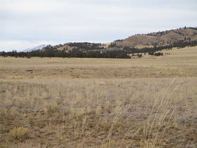 729 Mesa Rd Hartsel, CO 80449 | MLS 3819670 Photo 1