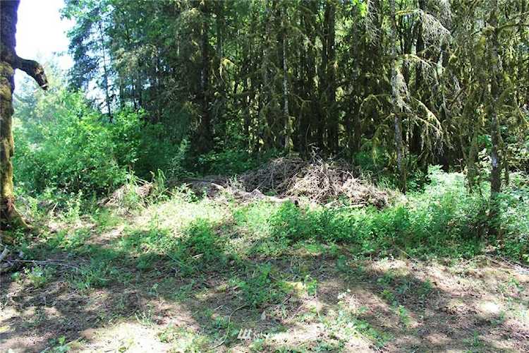 259 Avery Rd W Winlock, WA 98596