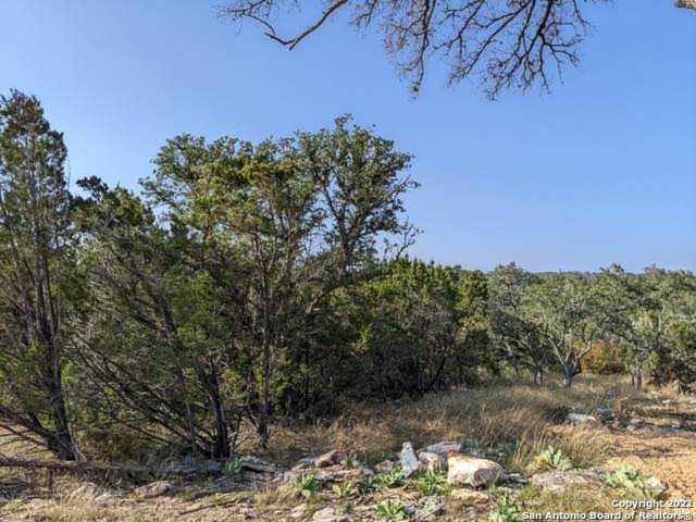 1365 Powder Ridge Rd New Braunfels, TX 78132