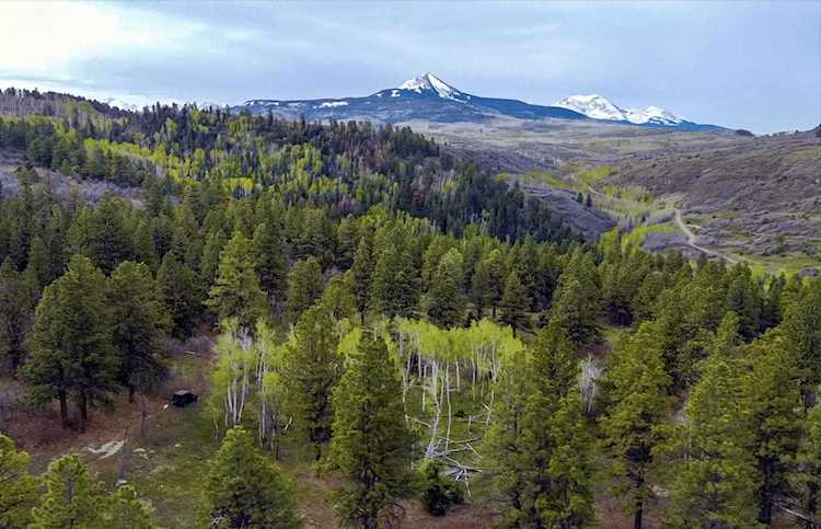 TBD M44 Rd #13-5 Placerville, COLORADO 81430