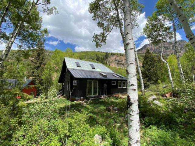 90 Lake Fork Junction Rd Ophir, COLORADO 81426