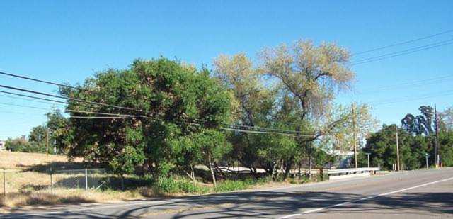 Olive Hill Road Fallbrook, CA 92028