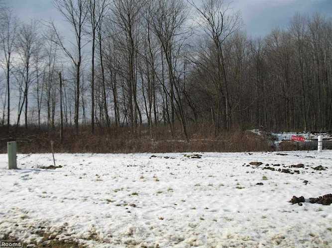 67769 Ashley Avenue, Richmond, MI 48062 in West Richmond Estates|Macomb MLS# 50063758 Photo 1