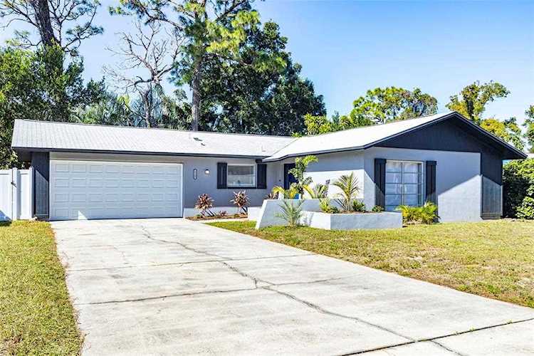3540 Dove Hollow Ct Palm Harbor, FL 34683